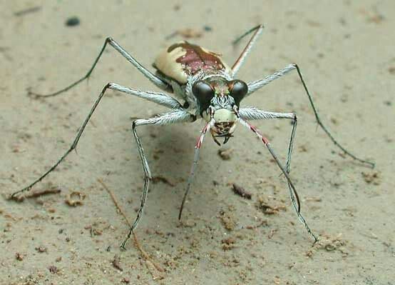 b49850ddd34ee6cbd7ef3800