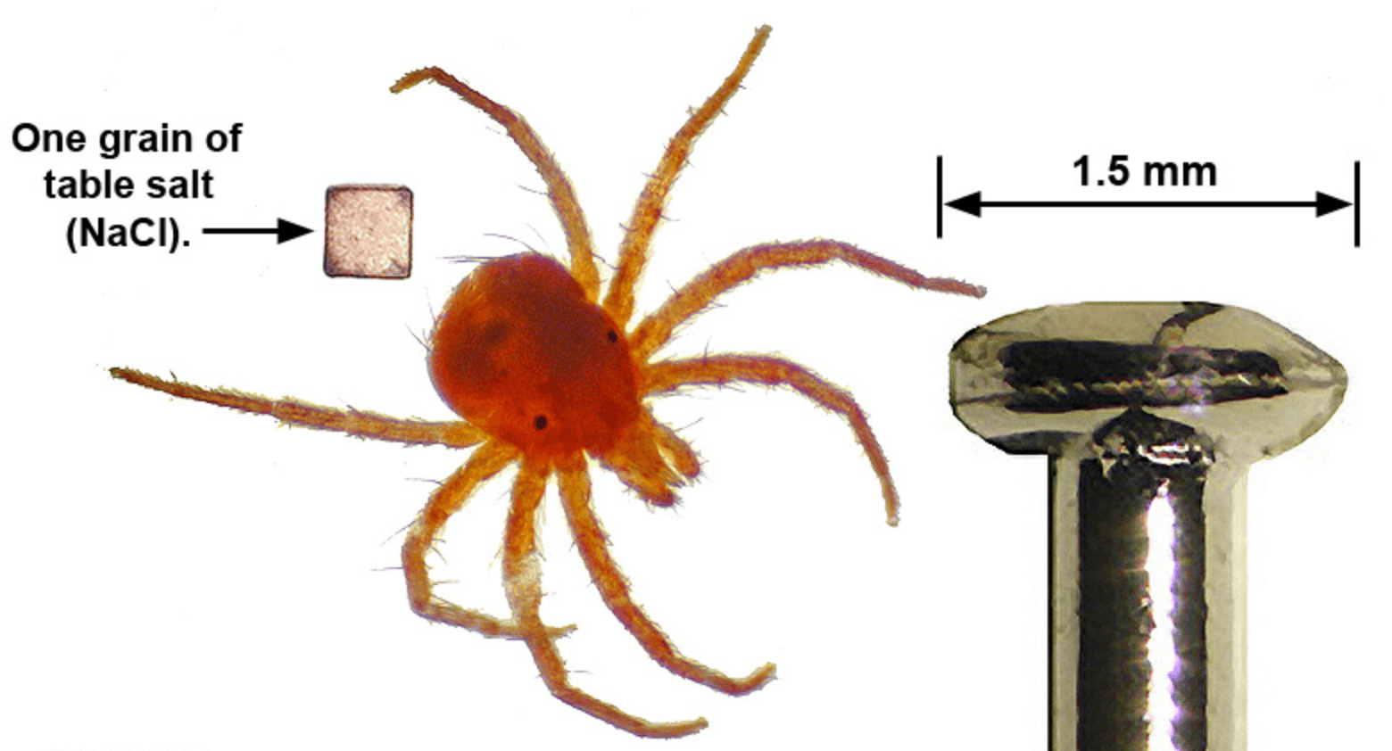 e8aca8faf9fa5fcfac787ff0